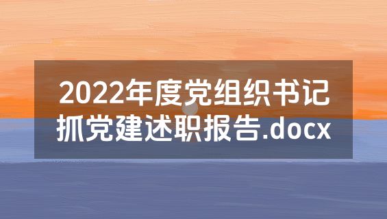 2022年度党组织书记抓党建述职报告.docx