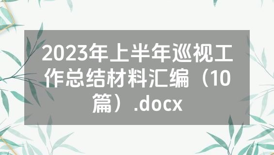 2023年上半年巡视工作总结材料汇编（10篇）.docx