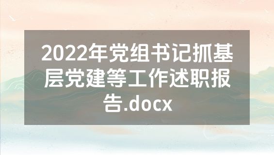 2022年党组书记抓基层党建等工作述职报告.docx
