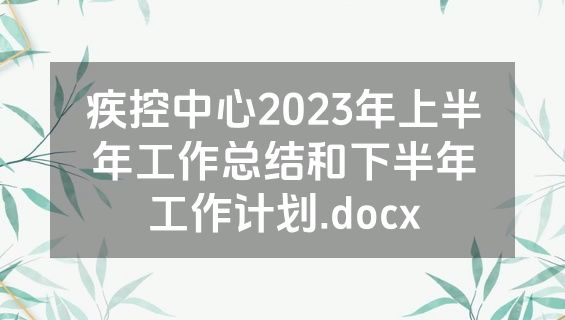 疾控中心2023年上半年工作总结和下半年工作计划.docx