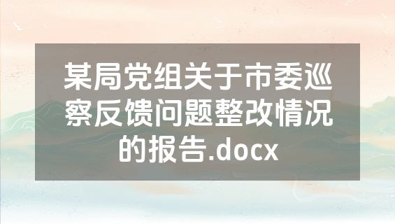 某局党组关于市委巡察反馈问题整改情况的报告.docx