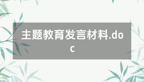 主题教育发言材料.doc