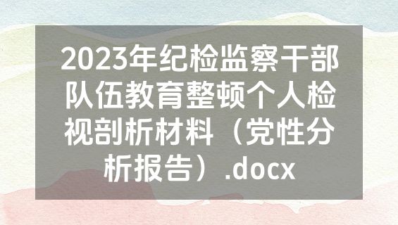 2023年纪检监察干部队伍教育整顿个人检视剖析材料（党性分析报告）.docx