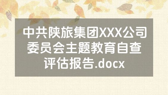 中共陕旅集团XXX公司委员会主题教育自查评估报告.docx