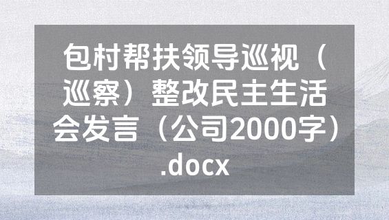 包村帮扶领导巡视（巡察）整改民主生活会发言（公司2000字）.docx