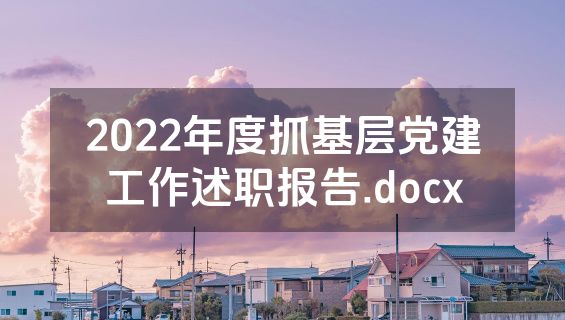 2022年度抓基层党建工作述职报告.docx
