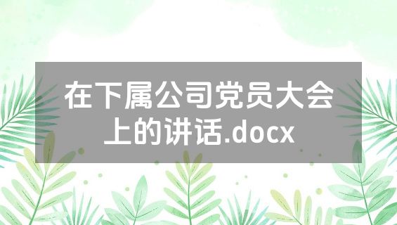 在下属公司党员大会上的讲话.docx