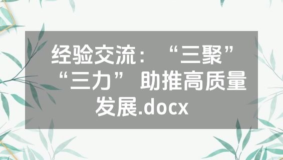 经验交流：“三聚”“三力” 助推高质量发展.docx