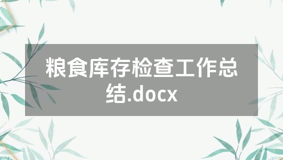 粮食库存检查工作总结.docx
