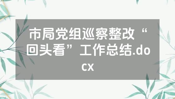 市局党组巡察整改“回头看”工作总结.docx
