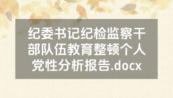 纪委书记纪检监察干部队伍教育整顿个人党性分析报告.docx