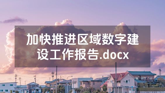加快推进区域数字建设工作报告.docx