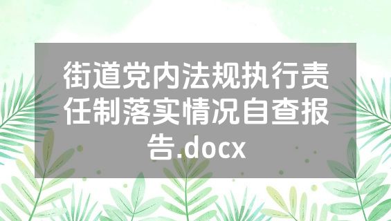 街道党内法规执行责任制落实情况自查报告.docx