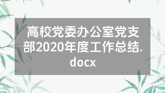 高校党委办公室党支部2020年度工作总结.docx