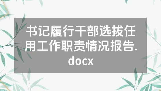 书记履行干部选拔任用工作职责情况报告.docx