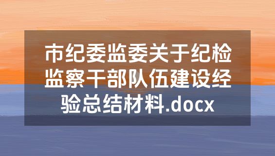 市纪委监委关于纪检监察干部队伍建设经验总结材料.docx