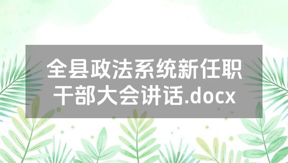 全县政法系统新任职干部大会讲话.docx