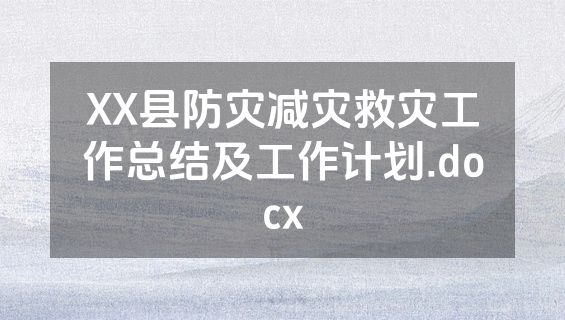 XX县防灾减灾救灾工作总结及工作计划.docx