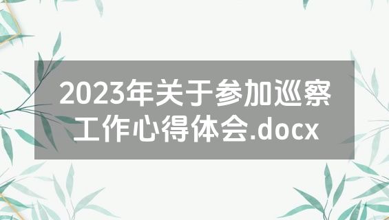 2023年关于参加巡察工作心得体会.docx