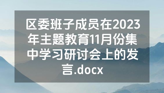 区委班子成员在2023年主题教育11月份集中学习研讨会上的发言.docx