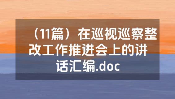 （11篇）在巡视巡察整改工作推进会上的讲话汇编.doc