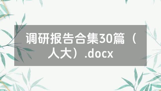调研报告合集30篇（人大）.docx