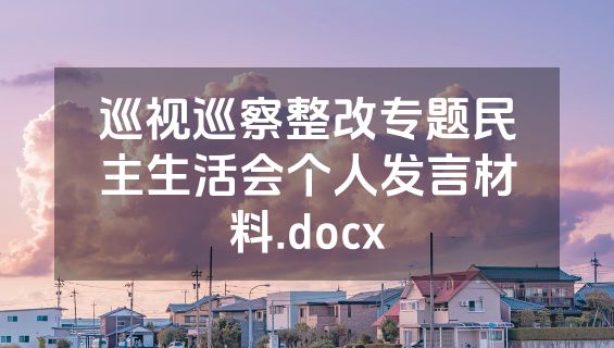 巡视巡察整改专题民主生活会个人发言材料.docx