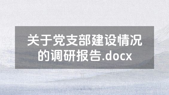 关于党支部建设情况的调研报告.docx