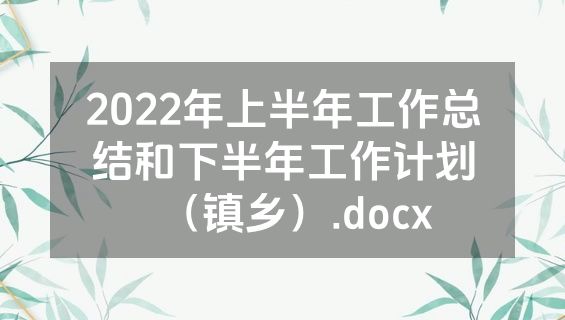 2022年上半年工作总结和下半年工作计划（镇乡）.docx
