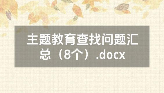 主题教育查找问题汇总（8个）.docx