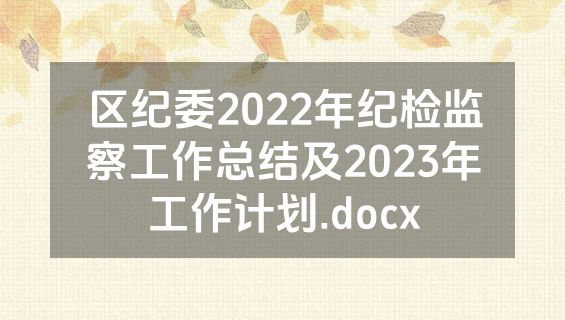 区纪委2022年纪检监察工作总结及2023年工作计划.docx