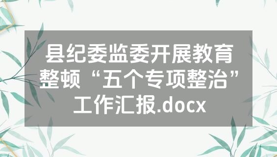 县纪委监委开展教育整顿“五个专项整治”工作汇报.docx
