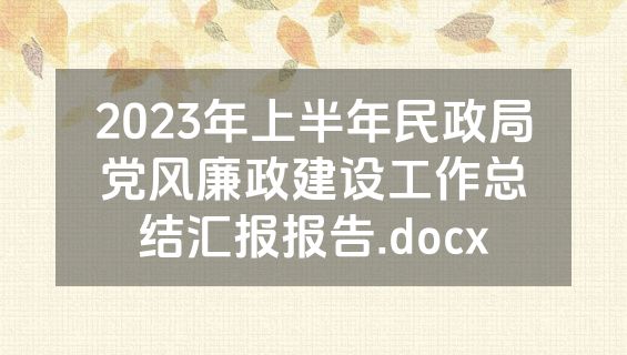 2023年上半年民政局党风廉政建设工作总结汇报报告.docx