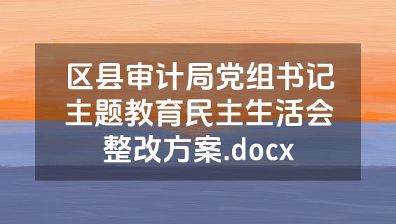 区县审计局党组书记主题教育民主生活会整改方案.docx