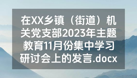 在XX乡镇（街道）机关党支部2023年主题教育11月份集中学习研讨会上的发言.docx