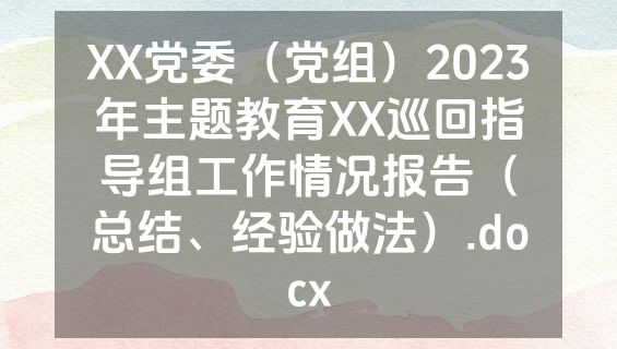 XX党委（党组）2023年主题教育XX巡回指导组工作情况报告（总结、经验做法）.docx
