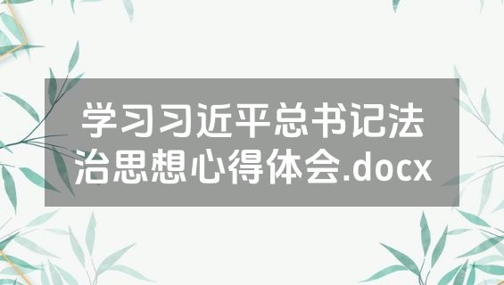 学习习近平总书记法治思想心得体会.docx