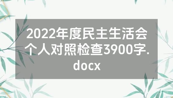 2022年度民主生活会个人对照检查3900字.docx