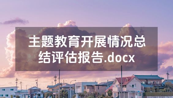 主题教育开展情况总结评估报告.docx