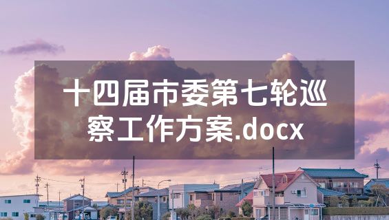 十四届市委第七轮巡察工作方案.docx