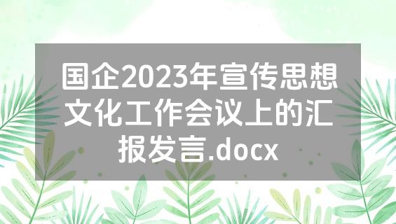 国企2023年宣传思想文化工作会议上的汇报发言.docx