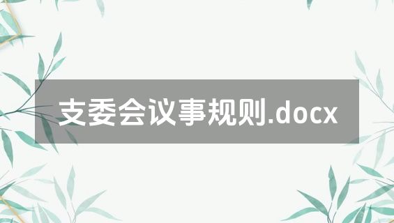 支委会议事规则.docx