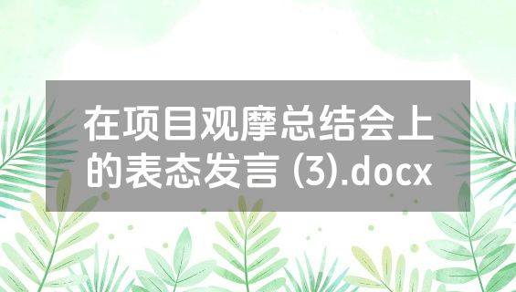 在项目观摩总结会上的表态发言 (3).docx