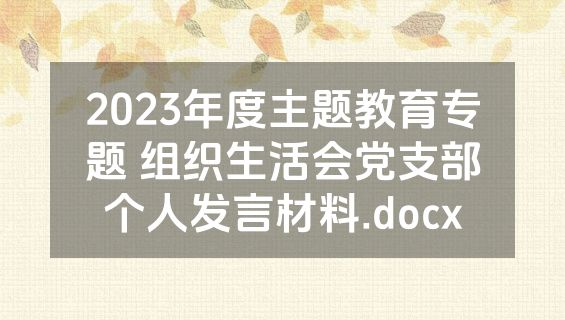 2023年度主题教育专题 组织生活会党支部个人发言材料.docx