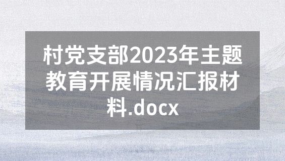 村党支部2023年主题教育开展情况汇报材料.docx