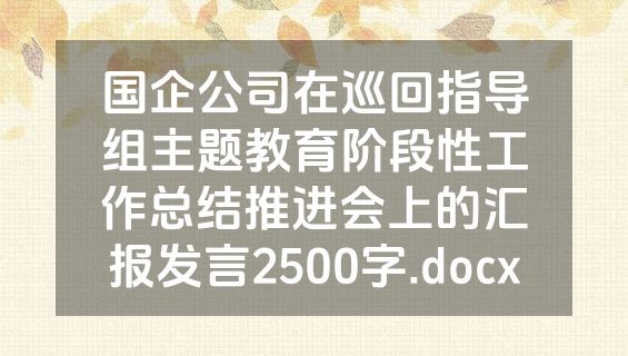 国企公司在巡回指导组主题教育阶段性工作总结推进会上的汇报发言2500字.docx