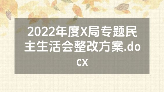 2022年度X局专题民主生活会整改方案.docx