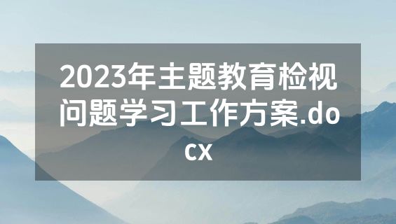 2023年主题教育检视问题学习工作方案.docx