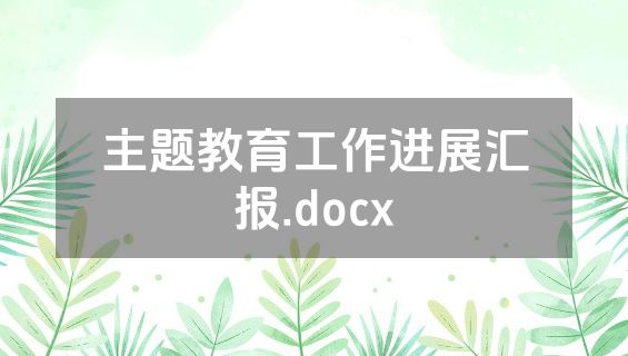 主题教育工作进展汇报.docx
