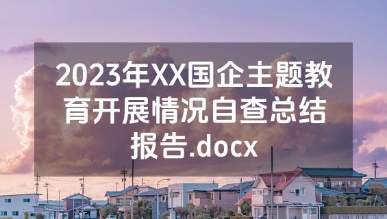 2023年XX国企主题教育开展情况自查总结报告.docx